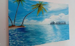 1.20m x 55