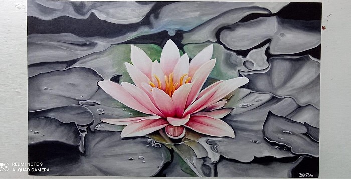 1m x 50